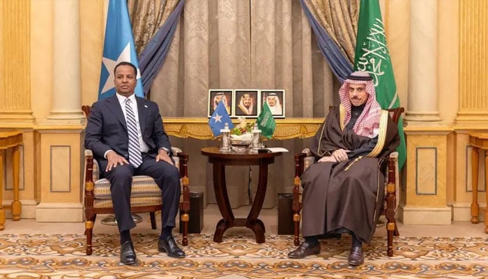 تصویر بشکریہ غیر ملکی میڈیا