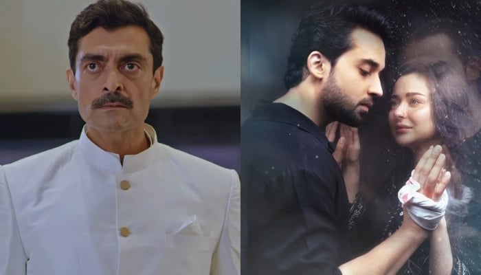 Aly Khan voices concern for his role in popular series Meri Zindagi Hai Tu