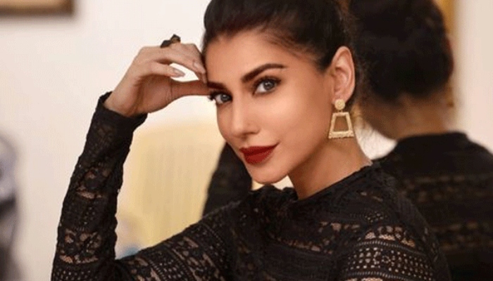 Humsafar star Navin Waqar breaks silence on characters shocking death