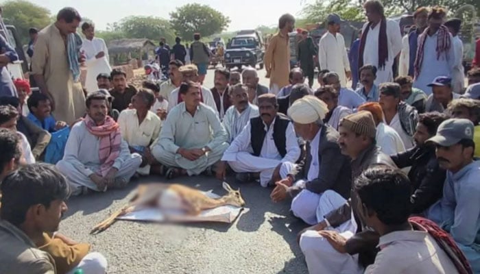 ننگرپارکر میں نایاب ہرنوں کا غیرقانونی شکار، علاقہ مکینوں کا احتجاج
