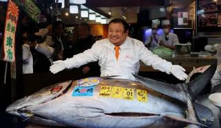 مشہور جاپانی فوڈ چین نے ٹونا مچھلی کیلئے ریکارڈ 32 لاکھ ڈالر ادا کر دیے