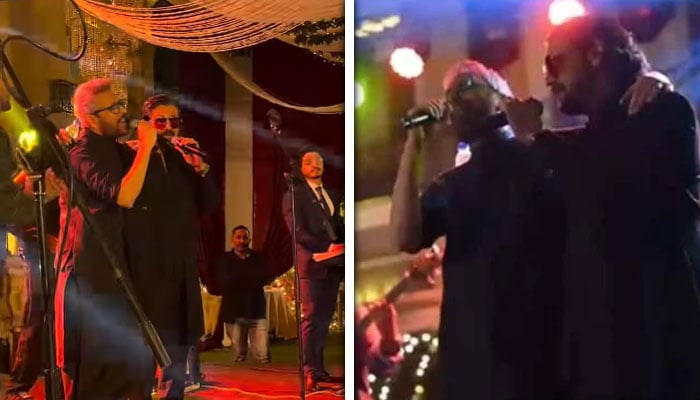 — اسکرین گرین