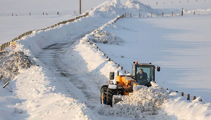 تصویر سوشل میڈیا۔