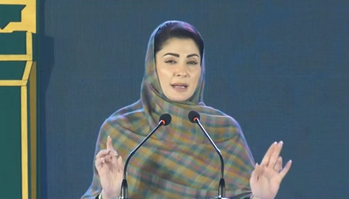 تصویر، اسکرین گریب