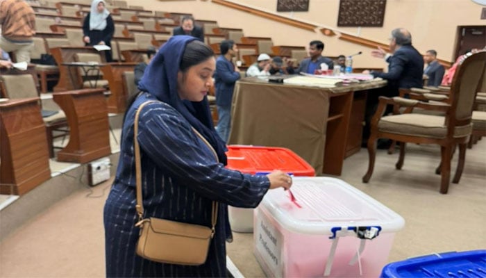 جامعہ کراچی: سنڈیکیٹ انتخابات میں کراچی یونیورسٹی ٹیچرز فیڈریشن نے میدان مار لیا