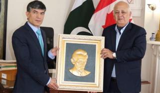 فنکار معاشروں کے درمیان پل بنانے میں کلیدی کردار ادا کرتے ہیں، محمد سلیم 