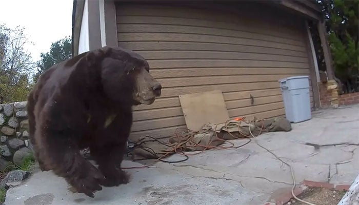 فوٹو: امریکی میڈیا