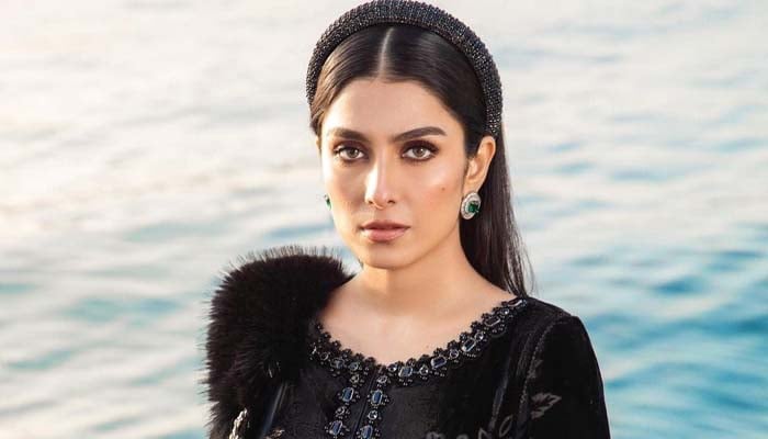 Ayeza Khan drops cute video from dolphin and seal show during Dubai vacation