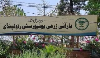 بارانی زرعی یونیورسٹی راولپنڈی کی طالبہ نے کلاس فیلو کیخلاف مبینہ زیادتی کا مقدمہ درج کرا دیا