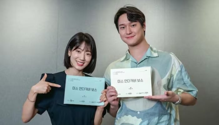 Undercover Miss Hong: