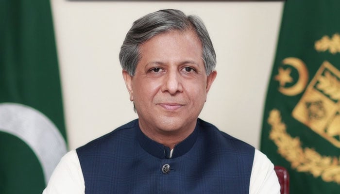 جب تک صدر توثیق نہ کریں ہم نوٹیفائی نہیں کرتے، اعظم نذیر تارڑ