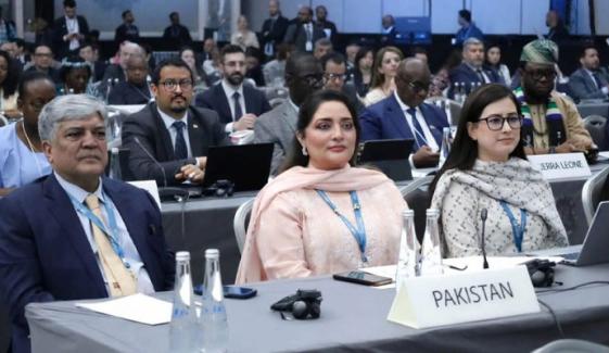 پاکستان کا 2030 تک 60 فیصد قابل تجدید توانائی کا ہدف مقرر