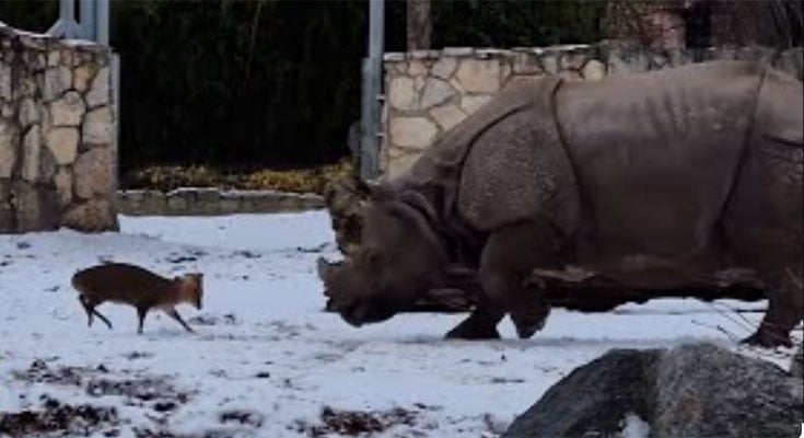 تصویر سوشل میڈیا۔