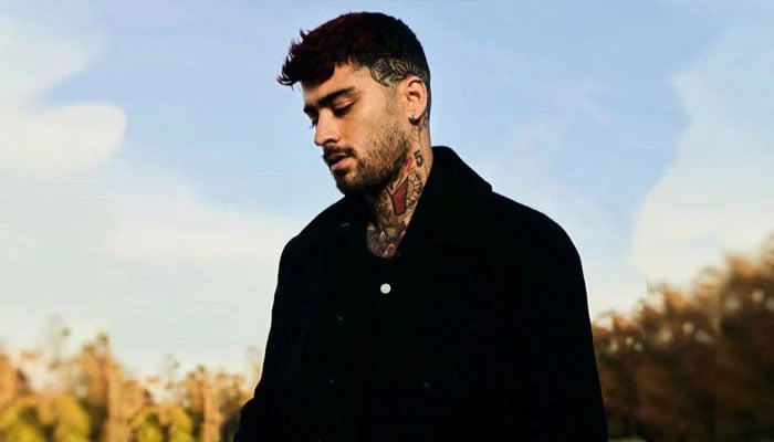 Zayn Malik drops exciting news as he marks 33rd birthday in zombie-themed bashZayn