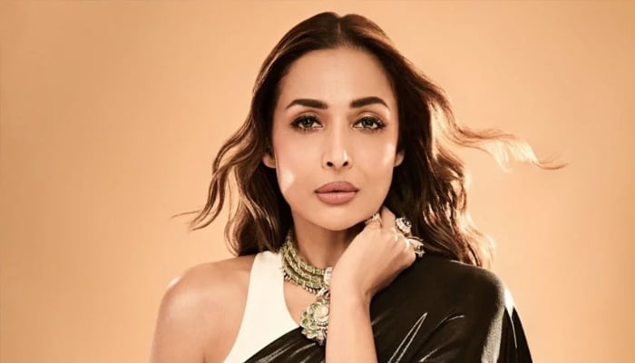 Malaika Arora breaks silence on doing item songs at 52
