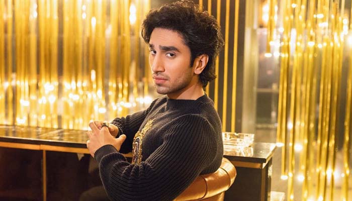 Hamza Sohail calls for online ‘compassion’ after Sajal Aly marriage buzz