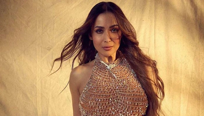 Malaika Arora breaks silence on latest dating rumour