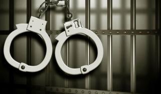 لاہور: جانوروں کی پراسرار ہلاکت کا راز فاش