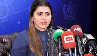 اوپن اسکائی پالیسی کی وجہ سے قومی ایئرلائن کو تاریخی نقصان ہوا: شازیہ مری