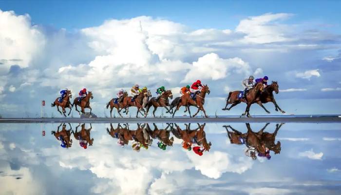 Best sports photos 2026: Top stunning images revealed