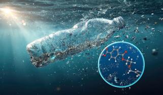 پلاسٹک کے چھوٹے ذرات لبلبے کو نقصان پہنچا کر جان لیوا بیماریوں میں مبتلا کر سکتے ہیں: تحقیق 