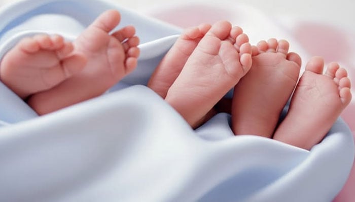 علامتی فوٹو