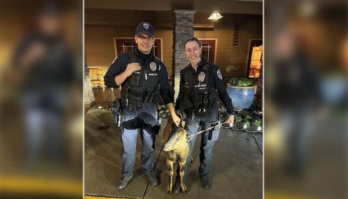 تصویر بشکریہ غیرملکی میڈیا