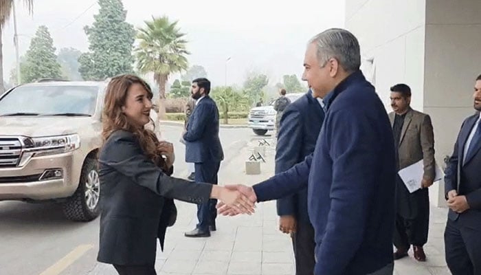 تصویر، اسکرین گریب