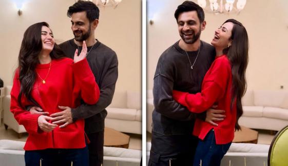 شعیب اور ثناء کی ’پارٹنرشپ‘ کو 2 سال مکمل