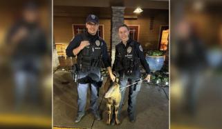 امریکا میں پولیس نے ایک بکری کو گرفتار کرلیا