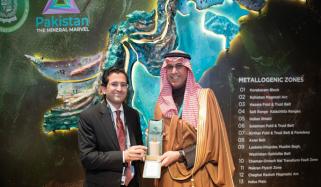 علی پرویز ملک کی سعودی وزیرِ توانائی سے ملاقات