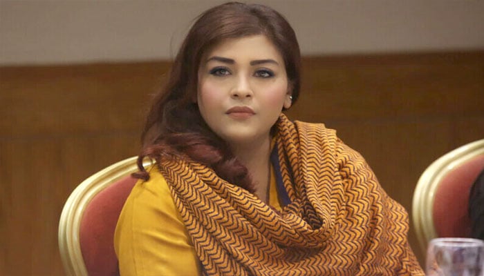 حافظ نعیم کا بیان غیرذمہ دارانہ ہے، ترجمان سندھ حکومت