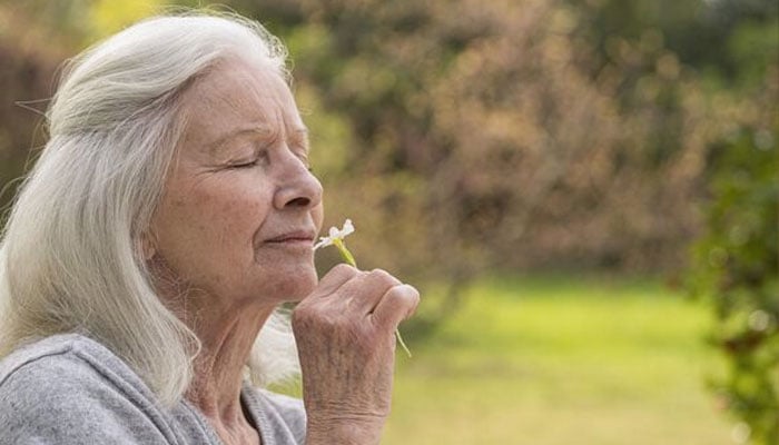 — فائل فوٹو