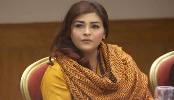 حافظ نعیم کا بیان غیرذمہ دارانہ ہے، ترجمان سندھ حکومت