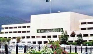 غیرت کے نام پر قتل پر سزائے موت دی جائے گی، سینیٹ میں بل پیش 