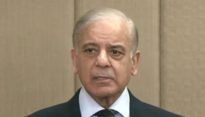 فوٹو: اسکرین گریب/جیو نیوز