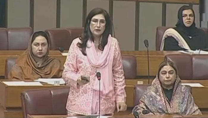 سانحہ گل پلازا: ضروری نہیں کہ حادثے کے وقت وزیراعلیٰ اور وزراء پہنچیں، شہلا رضا