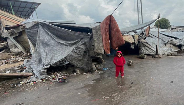 تصویر سوشل میڈیا۔