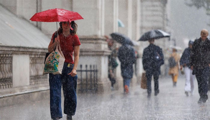 تصویر سوشل میڈیا۔