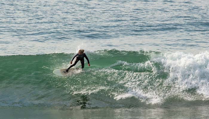 New South Wales beach in Australia hit by fourth shark attack in 48 hours