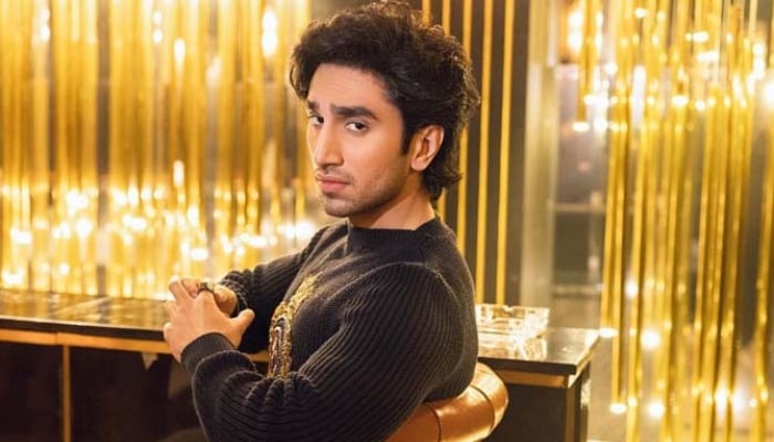 Hamza Sohail marks special milestone with emotional note: I was truly born