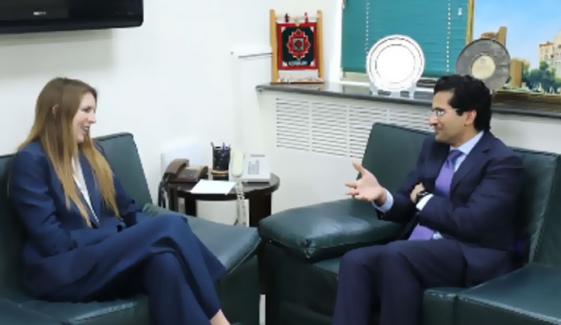 وزیر پیٹرولیم علی پرویز ملک سے برطانوی ہائی کمشنر جین میریٹ کی ملاقات