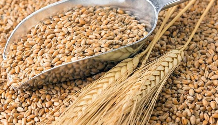 ---فائل فوٹو