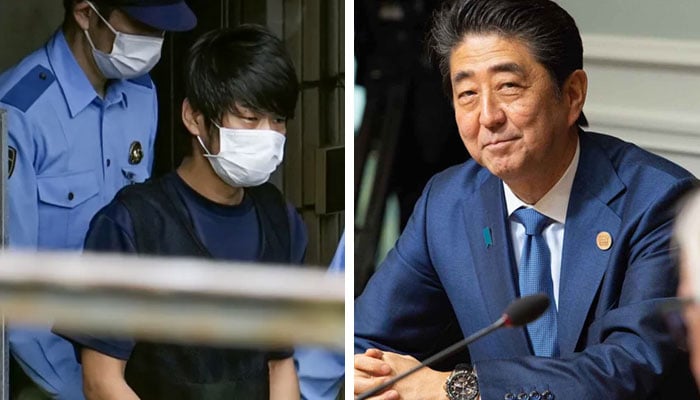 کولاج فوٹوز: فائل