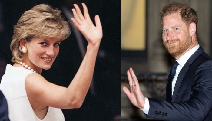 Princess Diana’s protection officer makes big claim as Harry awaits RAVEC report