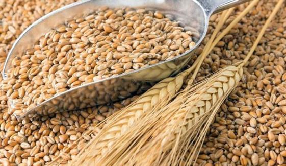 سال 2026 کیلئے گندم کی قیمت 3500 روپے فی من مقرر، نوٹیفکیشن جاری