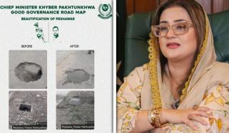 خوامخواہ تنقید ہوتی ہے کام نہیں کرتے: عظمیٰ بخاری کا وزیراعلیٰ کے پر پر طنز