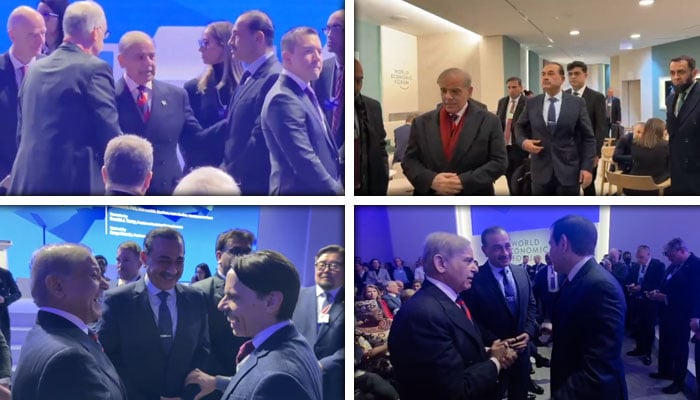 کولاج فوٹو: اسکرین گریب