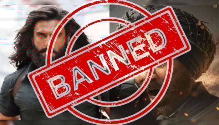 پاکستان مخالف بھارتی فلم پر خلیجی ملکوں نے پابندی لگادی