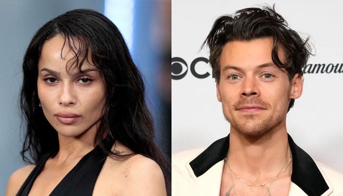 Harry Styles receives delightful nod from Zoe Kravitz amid buzzing romance